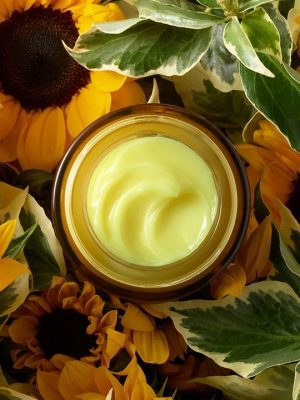 Produit n2 2- O'Naturel - Thème WP4Muslim